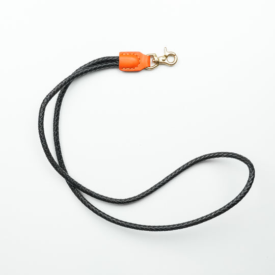 Lanyard